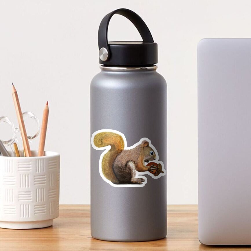 Squirrel with Acorn Sticker