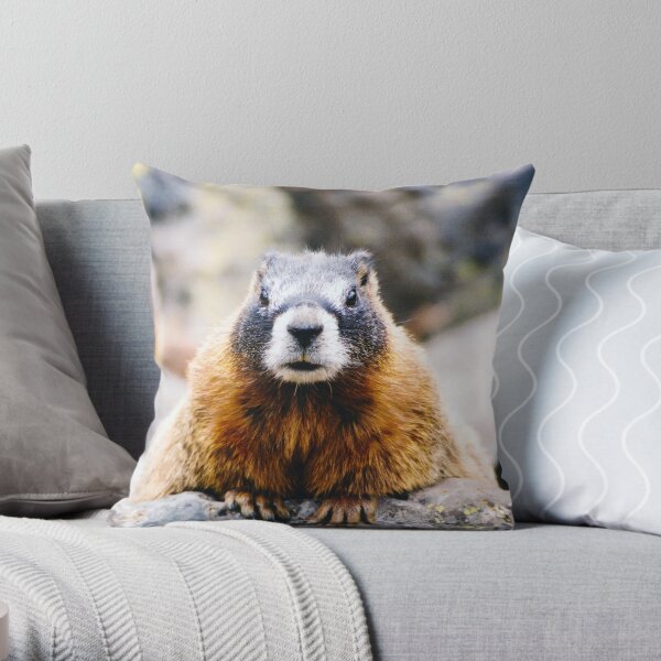Fuzzy Chonk Throw Pillow