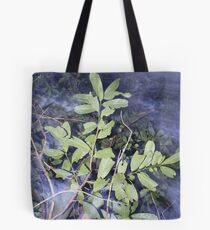 Mystic Trees! Tote Bag