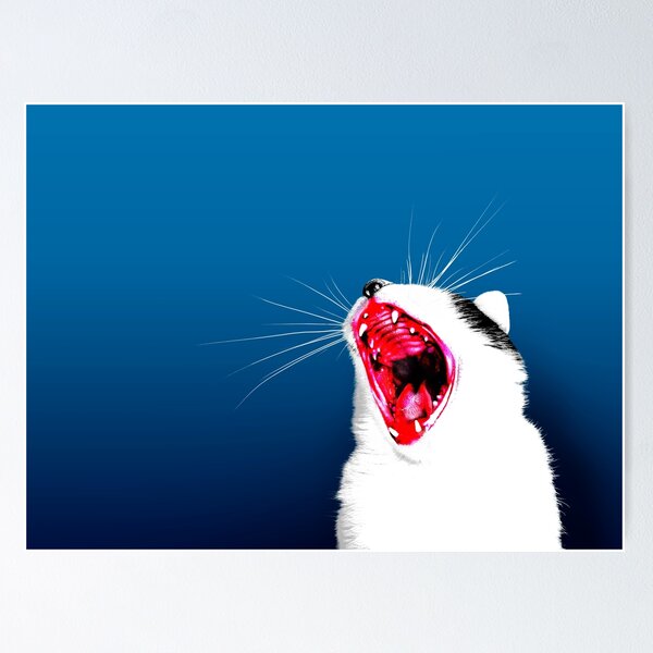 Mad Cat Angry Hissing or Coughing Cat Poster Print Paper OR Wall Vinyl