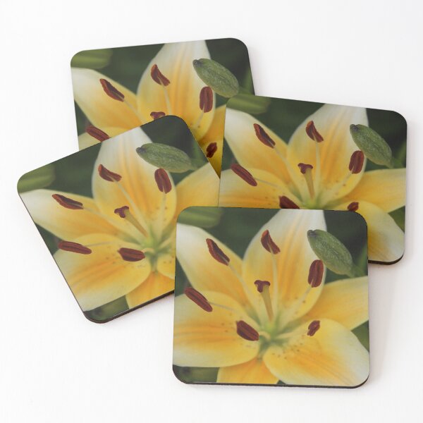Item preview, Asiatic Yellow Lily designed and sold by Susie Kramer.