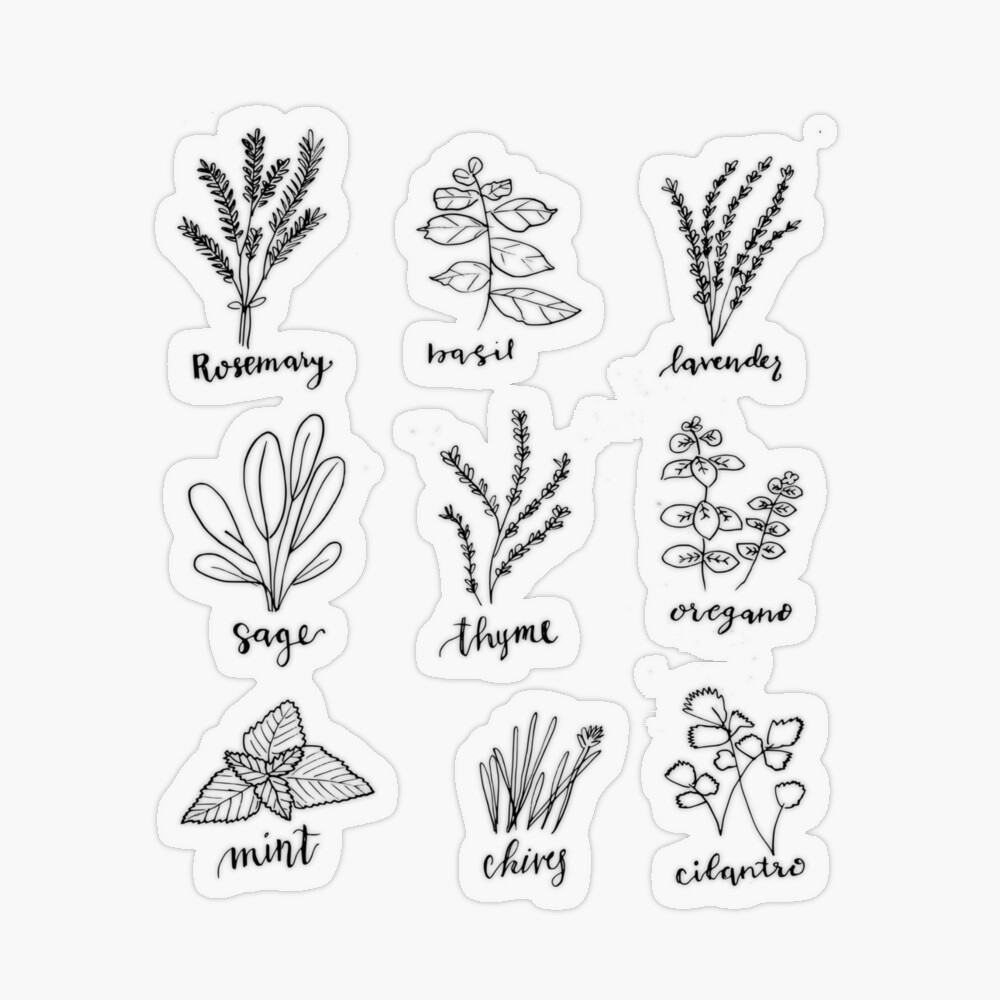 Biological control - Herb crops | Biobest