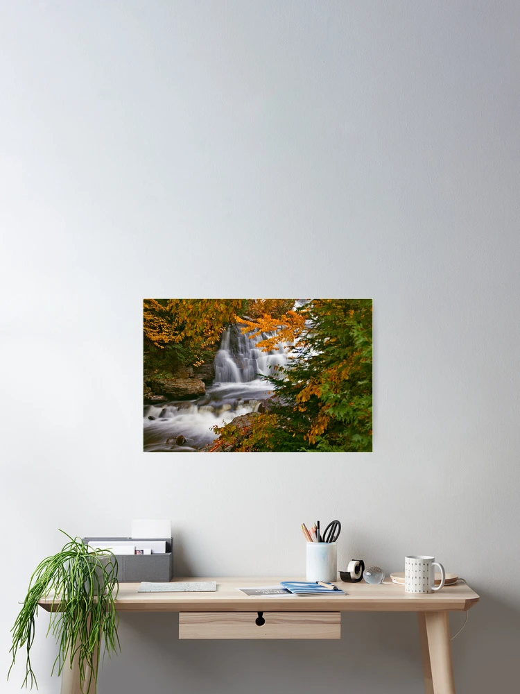Thumbnail 2 of 3, Poster, Fall In Fall designed and sold by © Hany G. Jadaa © Prince John Photography.
