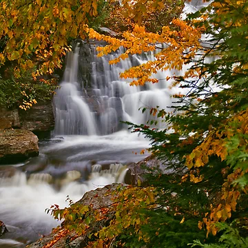 Artwork thumbnail, Fall In Fall by © Hany G. Jadaa © Prince John Photography