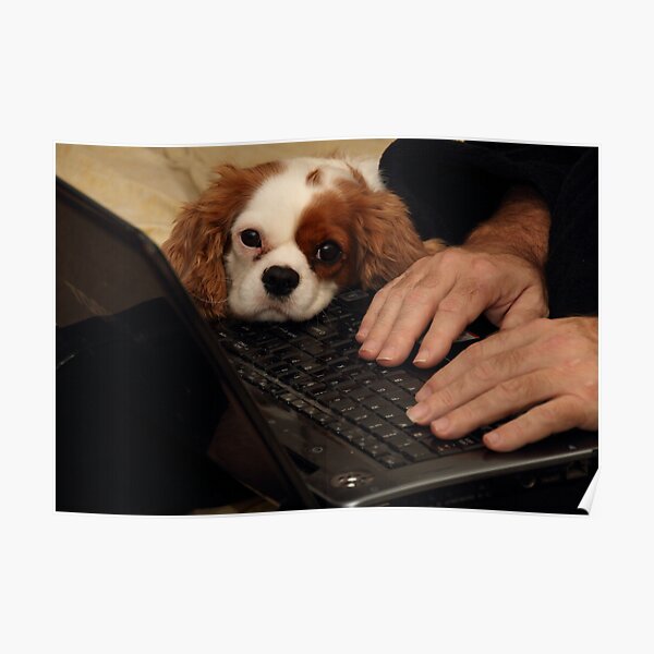 Third Hand (Lap 'Top' Dog) Poster
