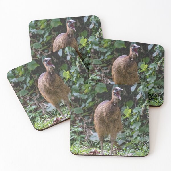 Item preview, Juvenile Cassowary Wildlife Photo taken by @pb.ay designed and sold by Ayarat Burke.
