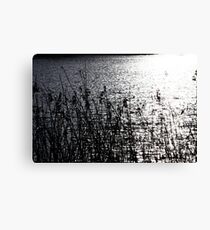 Lady Bird Lake Canvas Print
