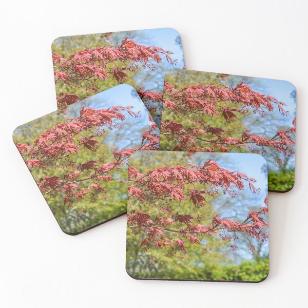 Item preview, Japanese maple at natural background designed and sold by lena-maximova.
