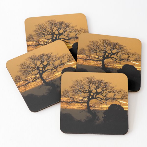 Item preview, Bare, Twisted, Gnarled But Beautiful Tree designed and sold by wiggyofipswich.