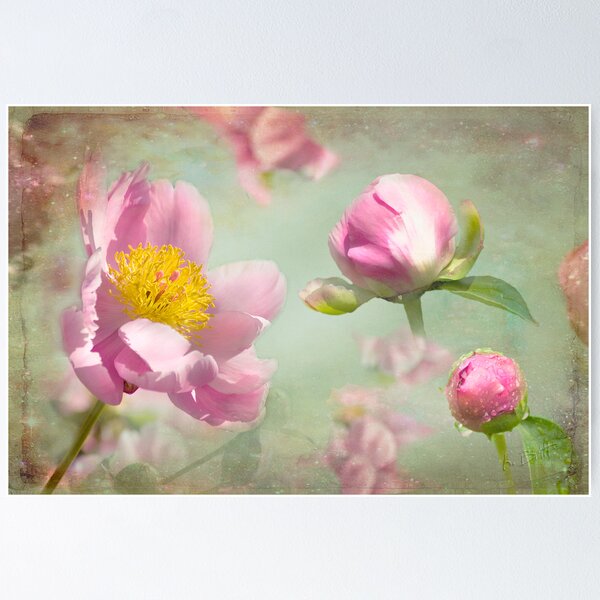 Item preview, Budding designed and sold by Kimberley Saros.
