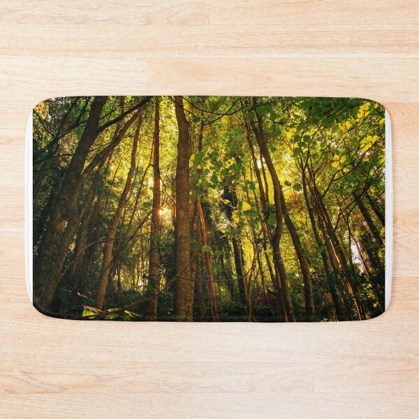 Item preview, Dorrigo Rainforest Light Rays designed and sold by ModernDigitalAU.
