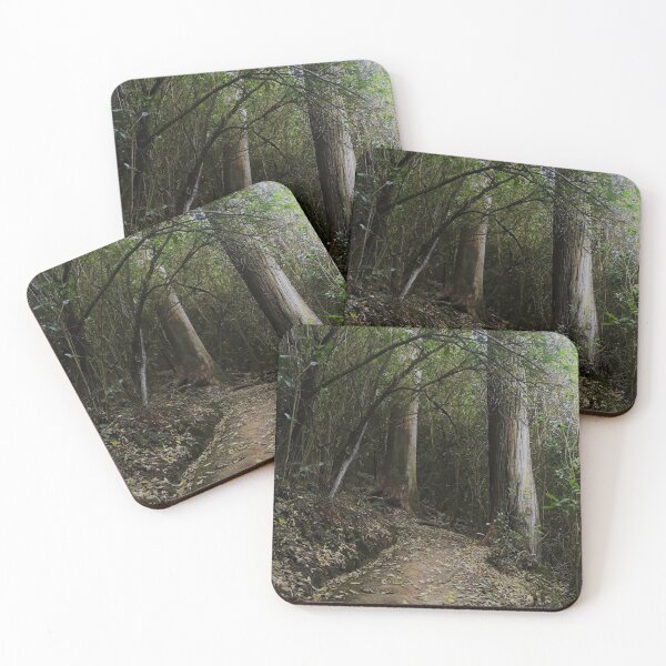 Item preview, Kahikatea Track designed and sold by coffeebean.
