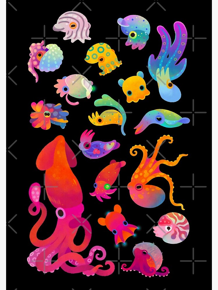 Cephalopod by pikaole