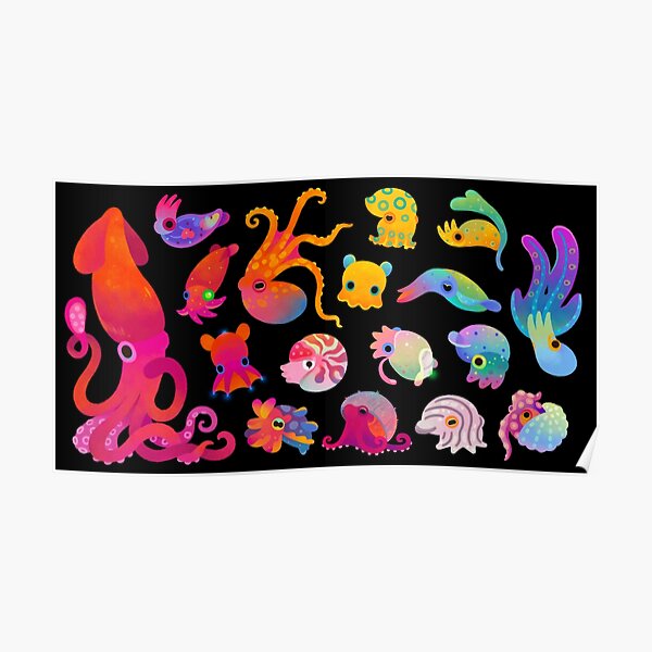 Cephalopod Poster