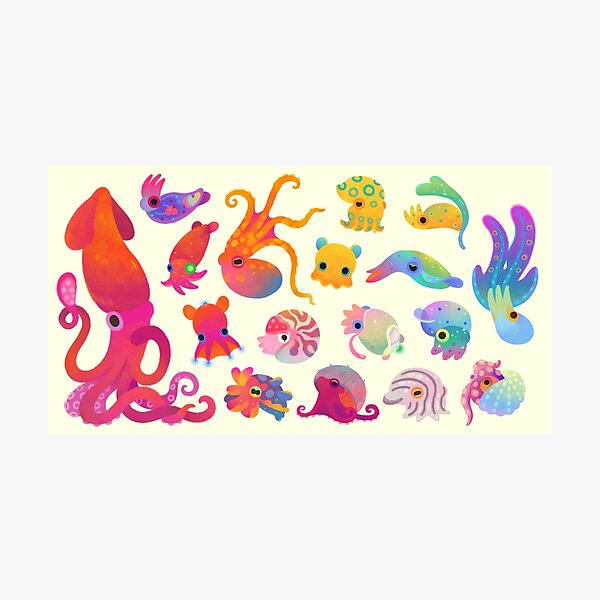 Cephalopod - pastel Photographic Print