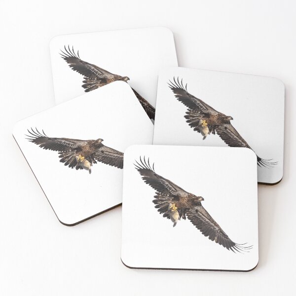 Item preview, Isolated Bald Eagle 2019-9 designed and sold by Thomasyoung.