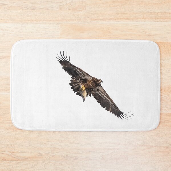 Item preview, Isolated Bald Eagle 2019-9 designed and sold by Thomasyoung.