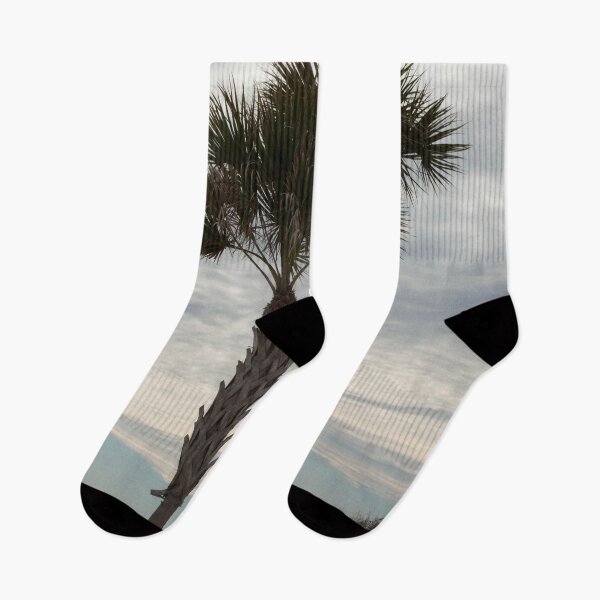 Artikelvorschau, Palme am Strand entworfen und verkauft von Allen Penton.