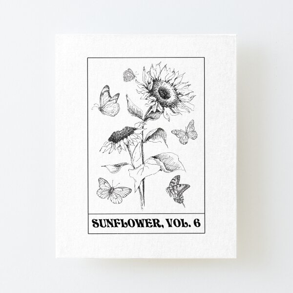sunflower vol 6 Canvas Mounted Print