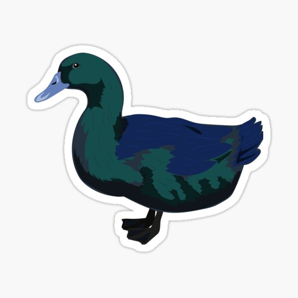 Vista previa del artículo con la obra «Cayuga Duck - pegatina de pato, pegatina, arte de pato, pato», diseñado y vendido por PetFriendly.
