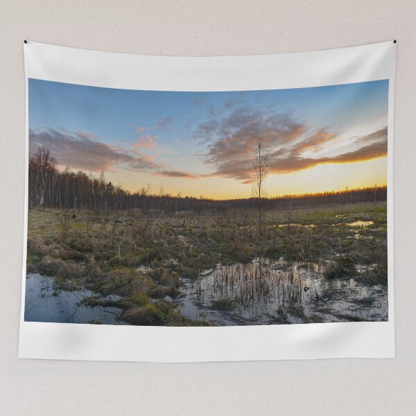 Item preview, Sunset in the blue sky over the spring backwaters of a forest swamp designed and sold by yarvin13.