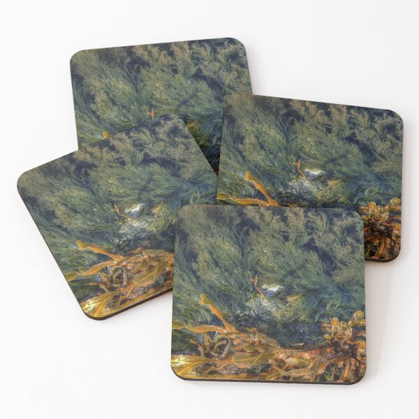 Item preview, Rock Pool designed and sold by Catchavista.