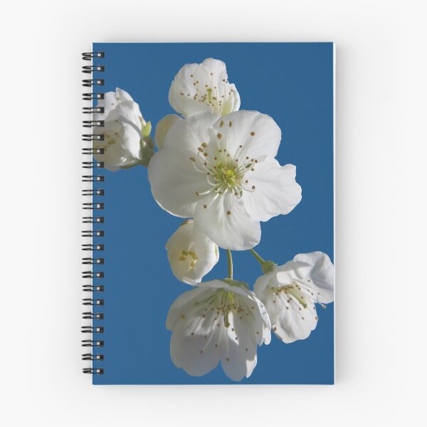 Item preview, cherries in blosssom on snorkel blue designed and sold by AHELENE.
