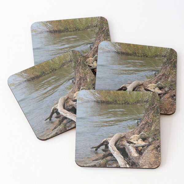 Item preview, A Tangle of Roots designed and sold by Emily Hermann.