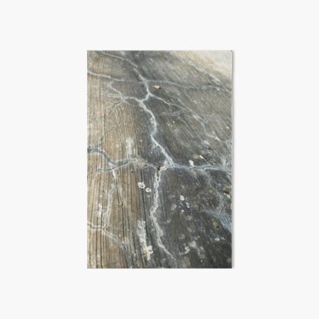Cracked Cement, Abstract Photography by Courtney Hatcher Art Board Print