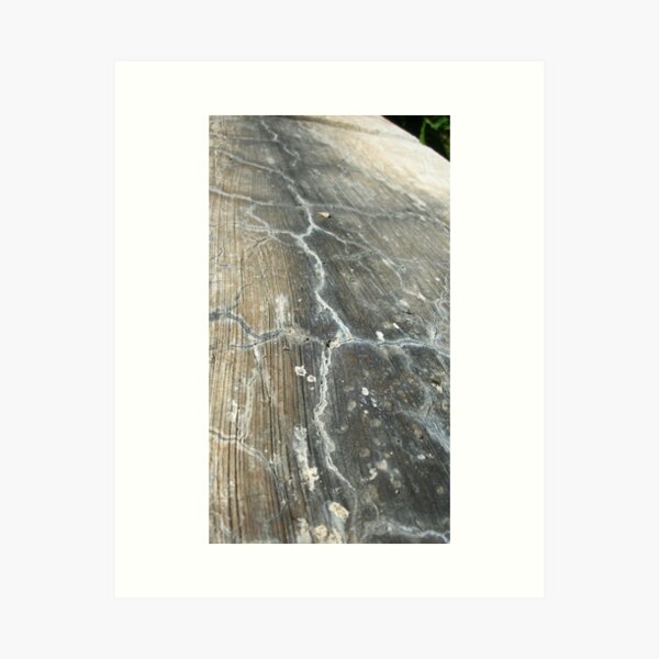 Cracked Cement, Abstract Photography by Courtney Hatcher Art Print