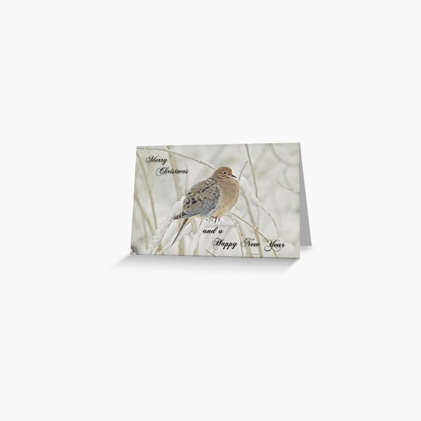 Christmas and New Year Greeting - Mourning Dove Greeting Card