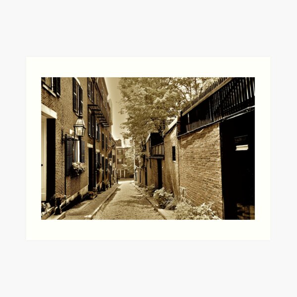 Acorn Street Art Print