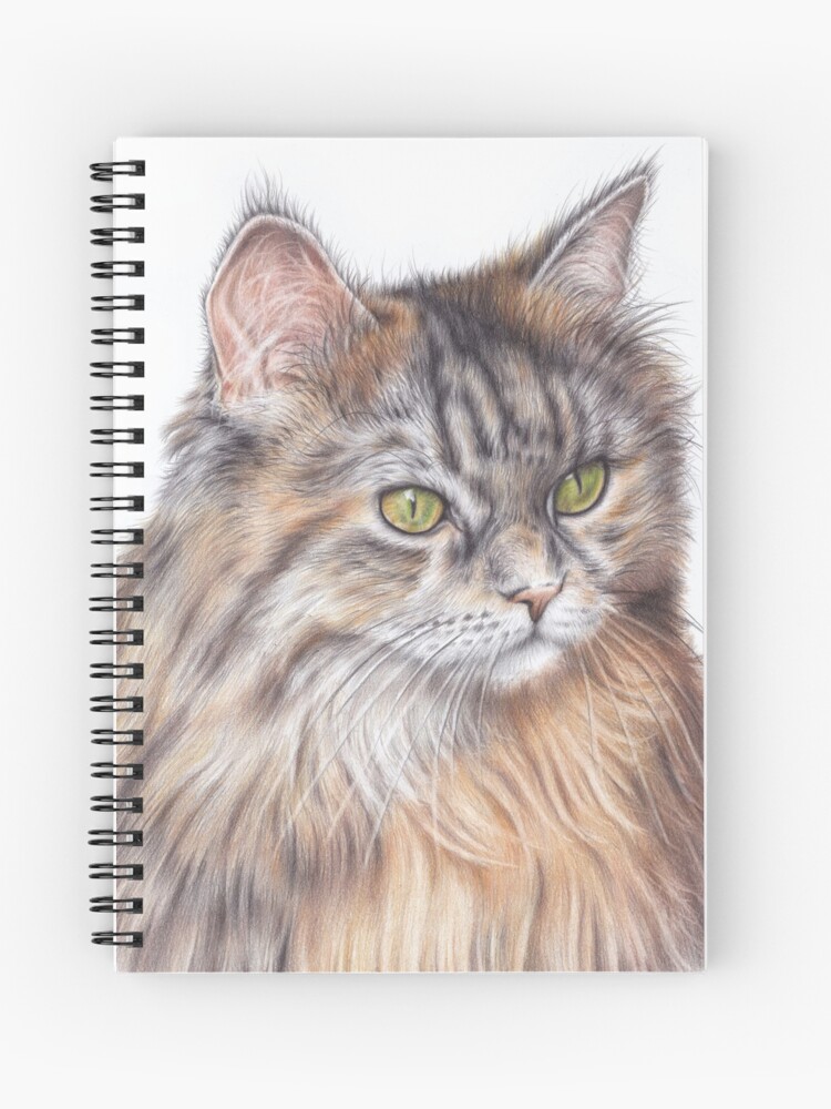 Cuaderno de espiral «Gato - dibujo a lápiz de color» de Art-By-Ewelina |  Redbubble