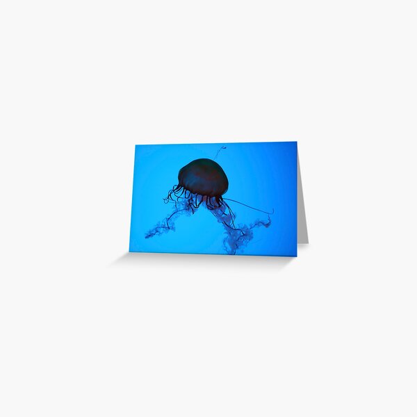 Sea Nettle Greeting Card