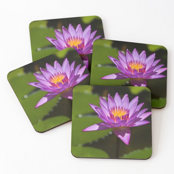 Item preview, Lotus Flower designed and sold by Maria Heyens.
