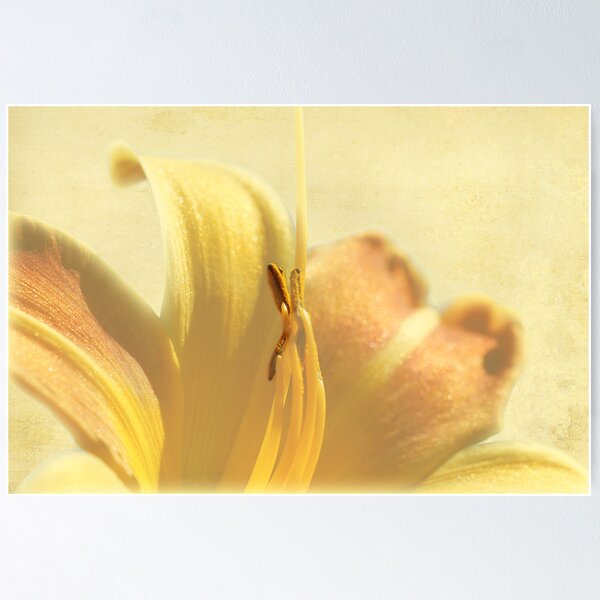 Item preview, Yellow Lily designed and sold by gcsmith.