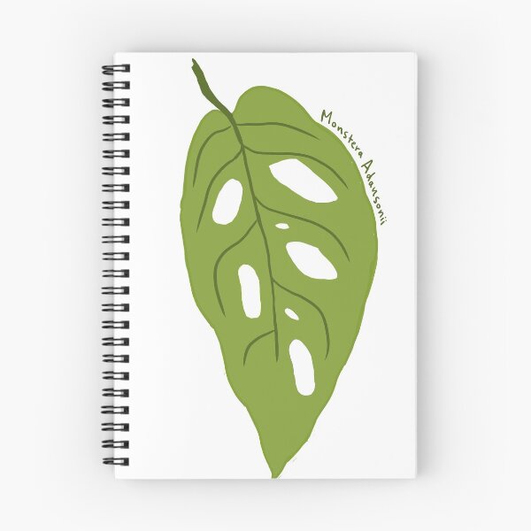 Item preview, Monstera Adansonii designed and sold by willowsbunnies.