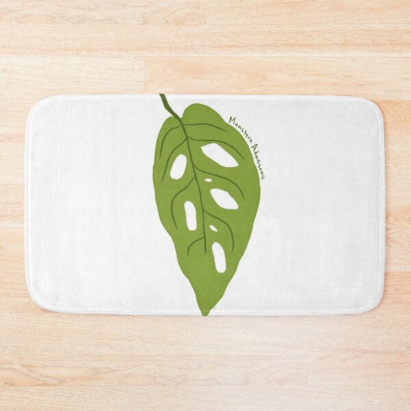 Item preview, Monstera Adansonii designed and sold by willowsbunnies.