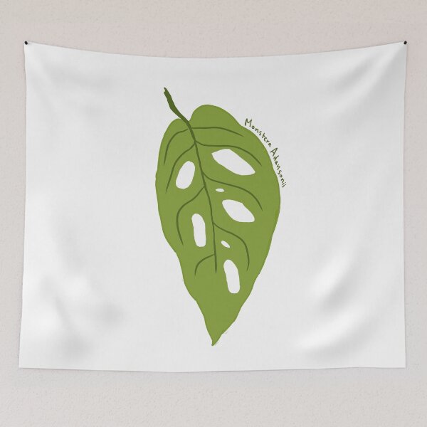 Item preview, Monstera Adansonii designed and sold by willowsbunnies.