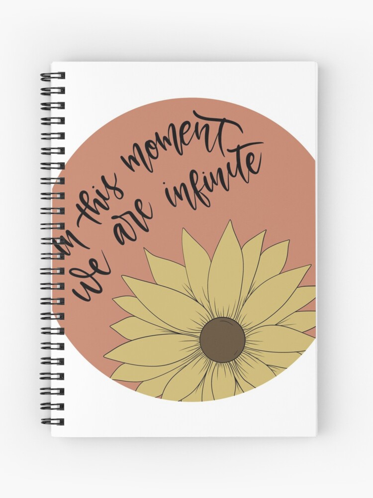 Perks of Being A Wallflower - we are infinite sunflower