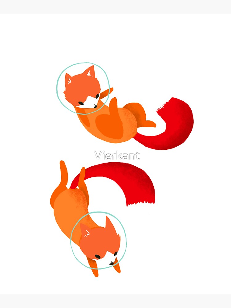 Space Foxes by Vierkant