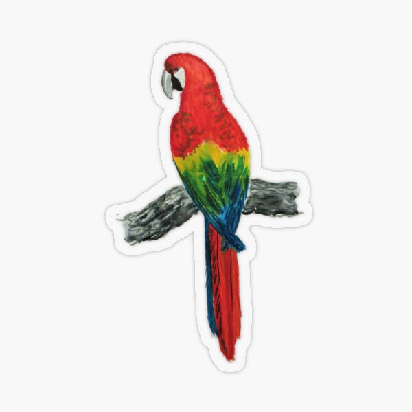 Tropical Parrot! Transparent Sticker