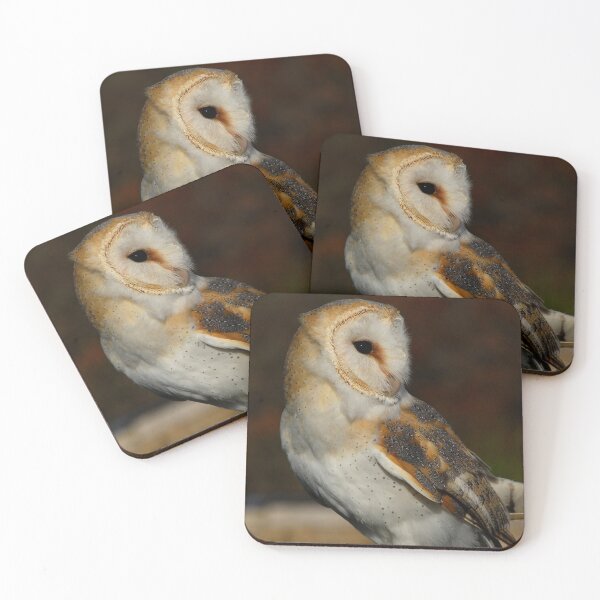 Item preview, Barn owl designed and sold by sandyprints.