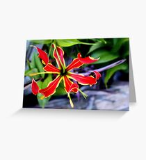 A Summer Star Greeting Card