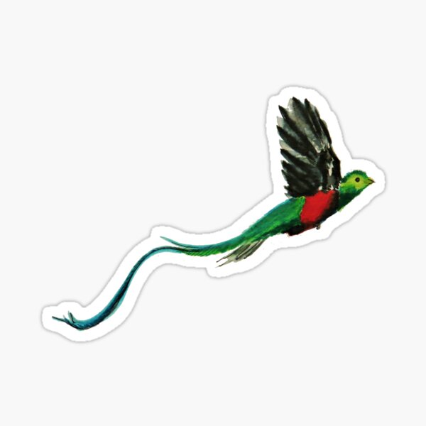 Quetzal Watercolor Sticker