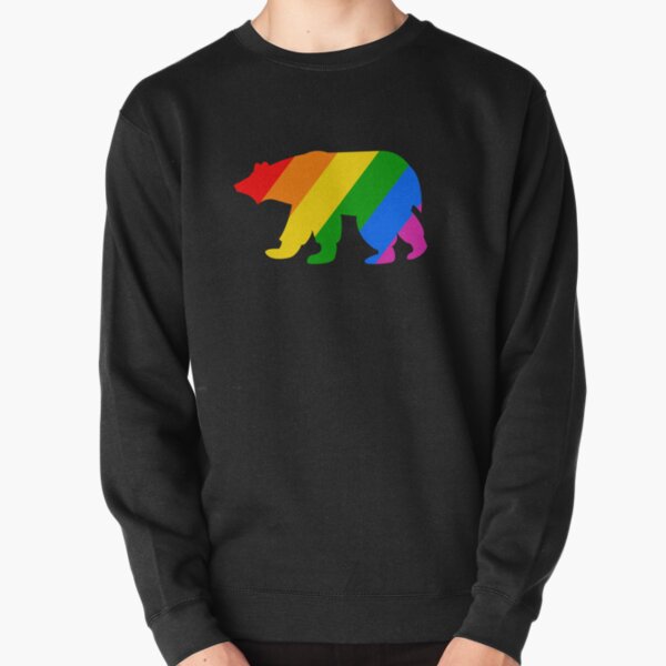 Regenbogen Eisbär Pullover