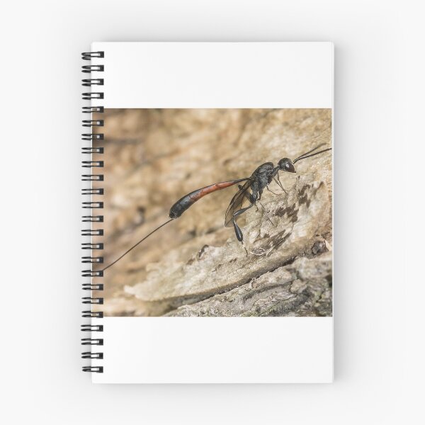 Item preview, Parasitic Wasp designed and sold by MikeSquires.
