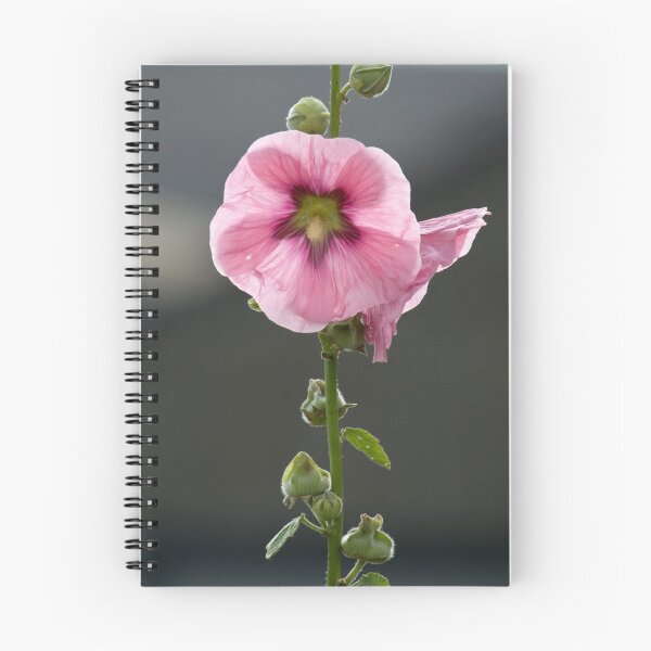 Item preview, Holly hock in summer sunshine. designed and sold by sandyprints.