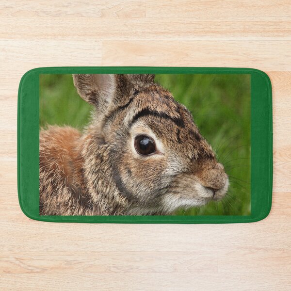 Item preview, Eastern Cottontail Portrait designed and sold by Debbie Oppermann.