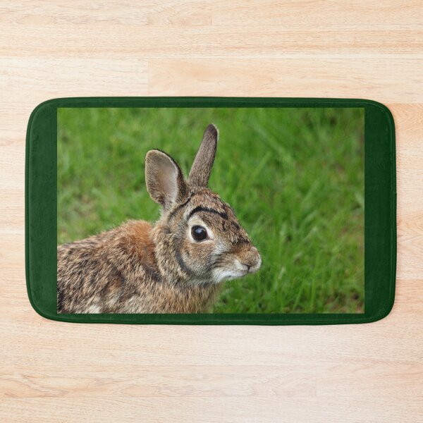 Item preview, Big Eared Brown Eyed Cottontail designed and sold by Debbie Oppermann.